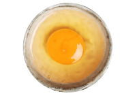 wild islands product page ingredients thumbs 02 18