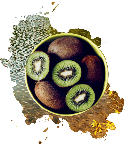 wild islands product page ingredients 02 23 wild islands product page ingredients 02 23